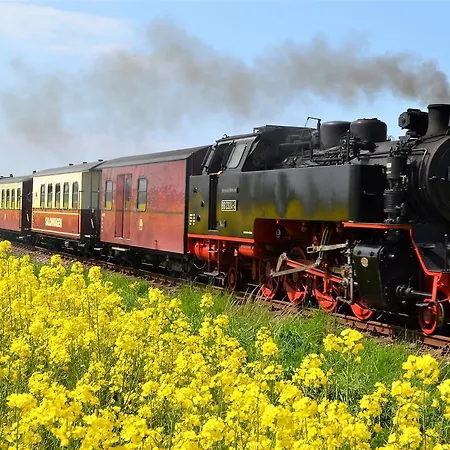 Residenz Waldkrone فندق Ostseebad Kühlungsborn